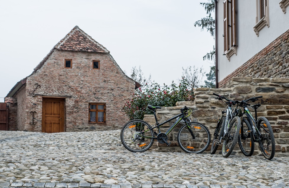 CASUTA – SOFIA FOLBERTH